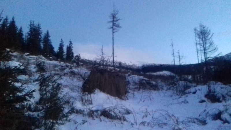 20181231_070447